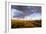 Ocotillo in Bloom at Sunrise in Big Bend National Park, Texas, Usa-Chuck Haney-Framed Photographic Print