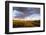 Ocotillo in Bloom at Sunrise in Big Bend National Park, Texas, Usa-Chuck Haney-Framed Photographic Print