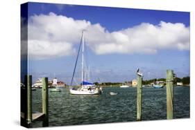 Ocracoke Anchorage II-Alan Hausenflock-Stretched Canvas