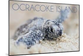 Ocracoke Island, North Carolina - Hawksbill Turtle Hatching-Lantern Press-Mounted Art Print