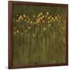 Ocre Jack Poppies-null-Framed Premium Giclee Print