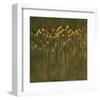 Ocre Jack Poppies-null-Framed Art Print