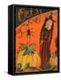 Oct. 31st Halloween Witch & Spider-sylvia pimental-Framed Stretched Canvas