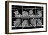 Octet-Ben Heine-Framed Giclee Print