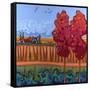 October Air-Don Tiller-Framed Stretched Canvas