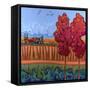 October Air-Don Tiller-Framed Stretched Canvas