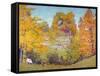 October Bouquet-Alson Clark-Framed Stretched Canvas