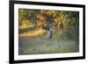 October Buck-Jai Johnson-Framed Giclee Print