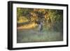 October Buck-Jai Johnson-Framed Premium Giclee Print