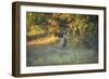 October Buck-Jai Johnson-Framed Giclee Print