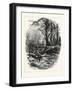 October Days-John Douglas Woodward-Framed Giclee Print