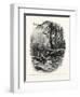 October Days-John Douglas Woodward-Framed Giclee Print