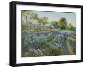 October Delphiniums-Timothy Easton-Framed Giclee Print