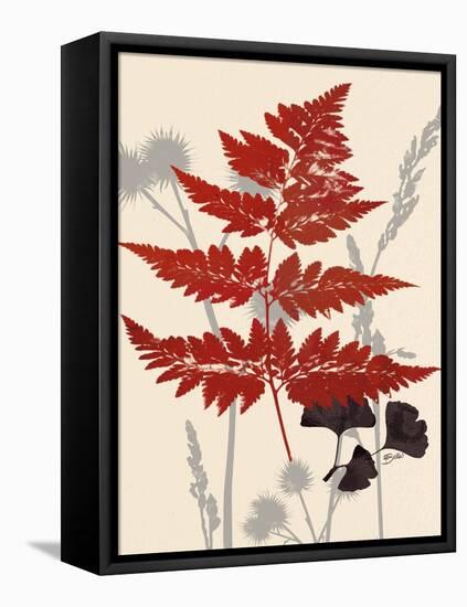 October Fern 1-Bella Dos Santos-Framed Stretched Canvas