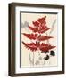 October Fern 1-Bella Dos Santos-Framed Art Print