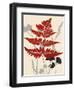 October Fern 1-Bella Dos Santos-Framed Art Print