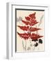 October Fern 1-Bella Dos Santos-Framed Art Print