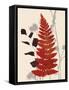 October Fern 2-Bella Dos Santos-Framed Stretched Canvas