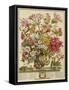 October, from 'twelve Months of Flowers' by Robert Furber (C.1674-1756) Engraved by Henry Fletcher-Pieter Casteels-Framed Stretched Canvas