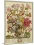October, from 'twelve Months of Flowers' by Robert Furber (C.1674-1756) Engraved by Henry Fletcher-Pieter Casteels-Mounted Giclee Print