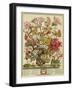 October, from 'twelve Months of Flowers' by Robert Furber (C.1674-1756) Engraved by Henry Fletcher-Pieter Casteels-Framed Giclee Print