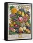 October, from 'Twelve Months of Fruits', by Robert Furber-Pieter Casteels-Framed Stretched Canvas