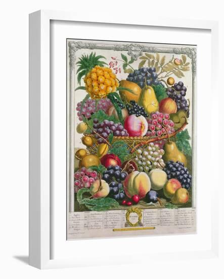 October, from 'Twelve Months of Fruits', by Robert Furber-Pieter Casteels-Framed Giclee Print