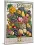 October, from 'Twelve Months of Fruits', by Robert Furber-Pieter Casteels-Mounted Giclee Print