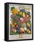 October, from 'Twelve Months of Fruits', by Robert Furber-Pieter Casteels-Framed Stretched Canvas