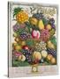 October, from 'Twelve Months of Fruits', by Robert Furber-Pieter Casteels-Stretched Canvas