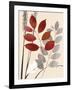 October Leaf 1-Bella Dos Santos-Framed Art Print