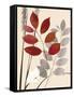October Leaf 1-Bella Dos Santos-Framed Stretched Canvas