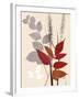 October Leaf 2-Bella Dos Santos-Framed Art Print