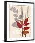 October Leaf 2-Bella Dos Santos-Framed Art Print