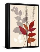 October Leaf 2-Bella Dos Santos-Framed Stretched Canvas