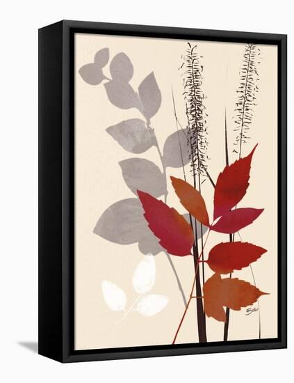October Leaf 2-Bella Dos Santos-Framed Stretched Canvas
