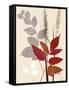 October Leaf 2-Bella Dos Santos-Framed Stretched Canvas