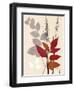 October Leaf 2-Bella Dos Santos-Framed Art Print