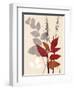October Leaf 2-Bella Dos Santos-Framed Art Print
