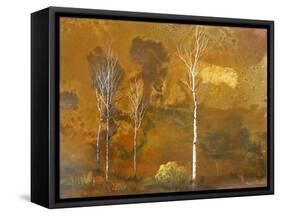 October Light-Trevor V. Swanson-Framed Stretched Canvas