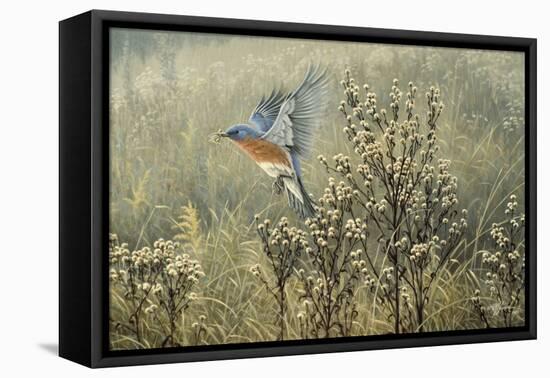 October Meadow-Wilhelm Goebel-Framed Stretched Canvas