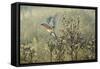 October Meadow-Wilhelm Goebel-Framed Stretched Canvas