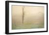 October Mist, 1902-John Francis Murphy-Framed Giclee Print