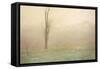 October Mist, 1902-John Francis Murphy-Framed Stretched Canvas