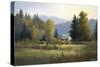 October Morning-David Marty-Stretched Canvas