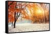 October Mountain Beech Forest with First Winter Snow-standret-Framed Stretched Canvas