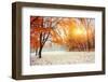 October Mountain Beech Forest with First Winter Snow-standret-Framed Photographic Print