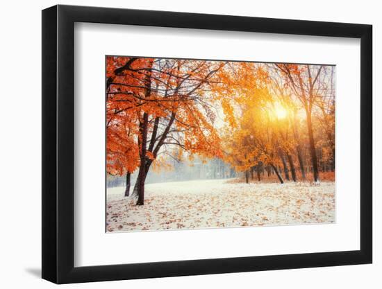 October Mountain Beech Forest with First Winter Snow-standret-Framed Photographic Print