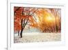 October Mountain Beech Forest with First Winter Snow-standret-Framed Photographic Print
