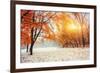 October Mountain Beech Forest with First Winter Snow-standret-Framed Photographic Print